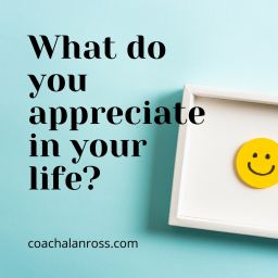 What do you appreciate in your life?